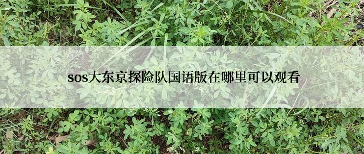 sos大东京探险队国语版在哪里可以观看