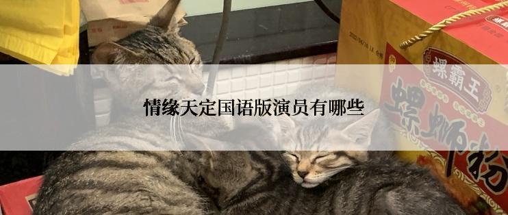 情缘天定国语版演员有哪些