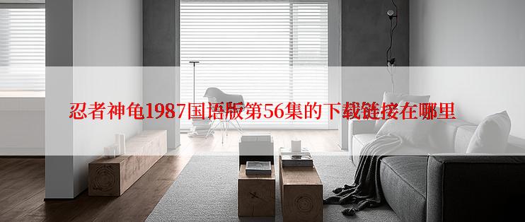 忍者神龟1987国语版第56集的下载链接在哪里