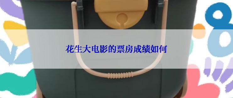 花生大电影的票房成绩如何