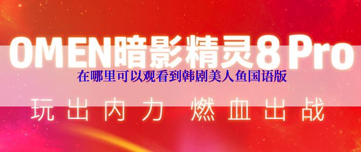  在哪里可以观看到韩剧美人鱼国语版