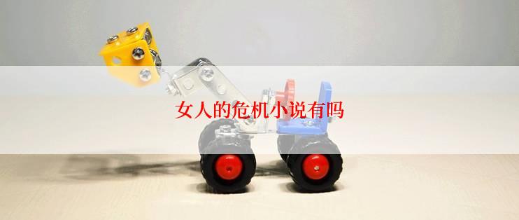 女人的危机小说有吗