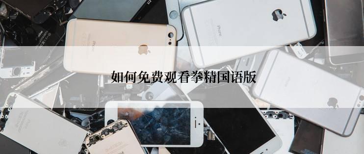  如何免费观看拳精国语版