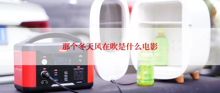 那个冬天风在吹是什么电影