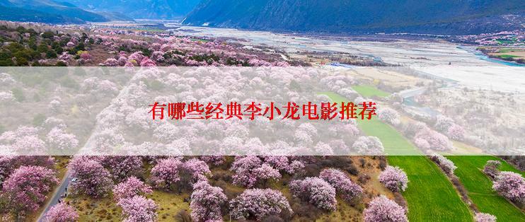 有哪些经典李小龙电影推荐