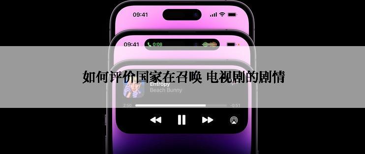  如何评价国家在召唤 电视剧的剧情