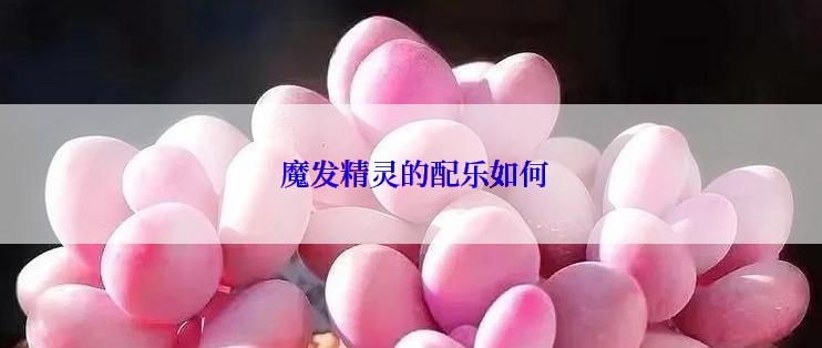  魔发精灵的配乐如何