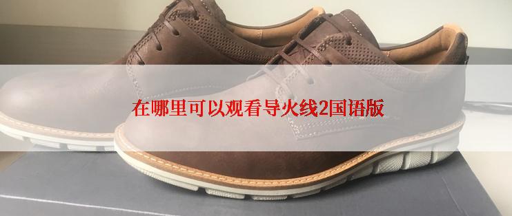  在哪里可以观看导火线2国语版