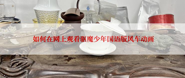  如何在网上观看驱魔少年国语版风车动画