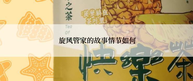 旋风管家的故事情节如何