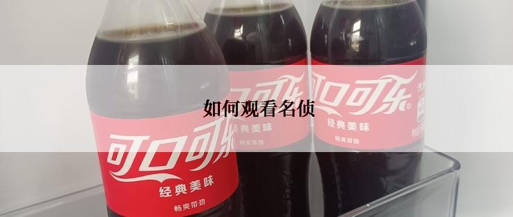  如何观看名侦