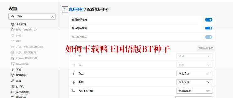 如何下载鸭王国语版BT种子