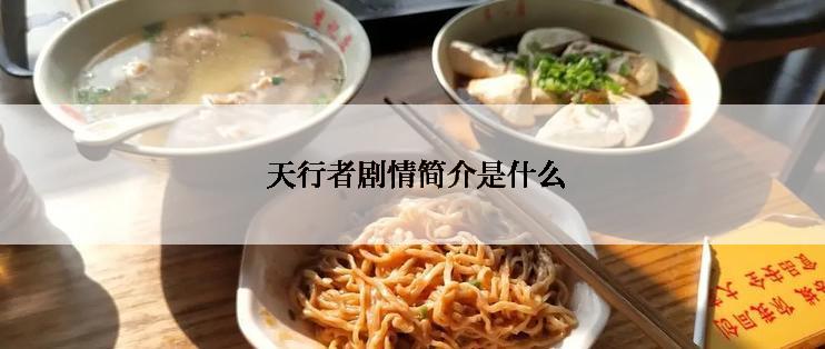 天行者剧情简介是什么