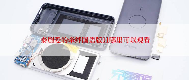  泰剧爱的牵绊国语版11哪里可以观看