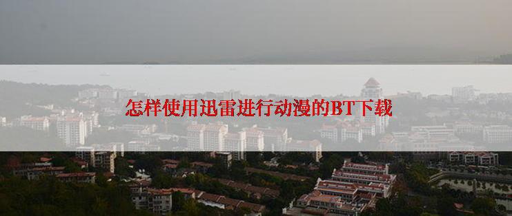  怎样使用迅雷进行动漫的BT下载