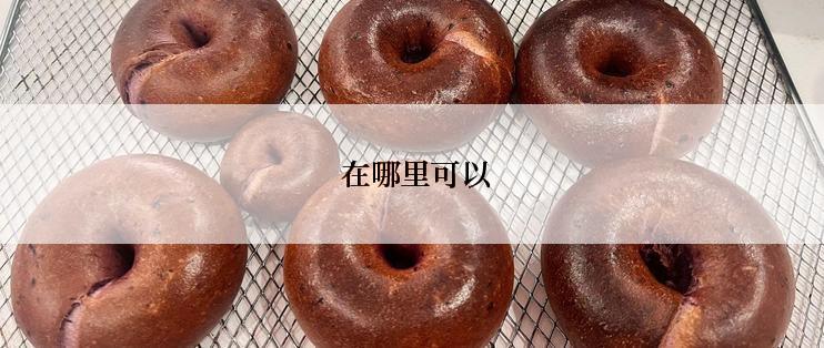  在哪里可以