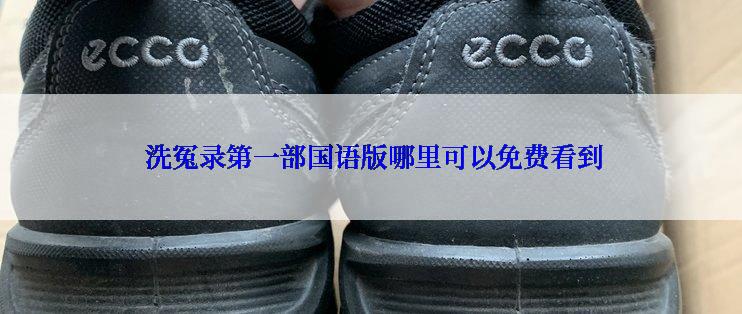  洗冤录第一部国语版哪里可以免费看到