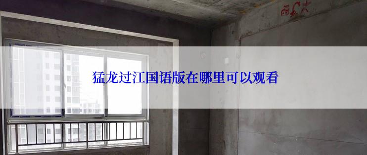  猛龙过江国语版在哪里可以观看