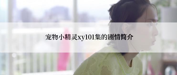 宠物小精灵xy101集的剧情简介