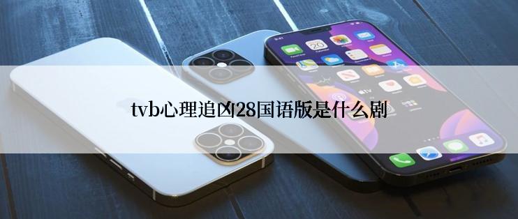 tvb心理追凶28国语版是什么剧