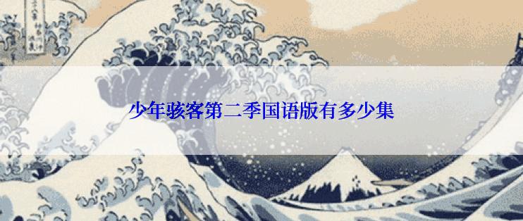 少年骇客第二季国语版有多少集
