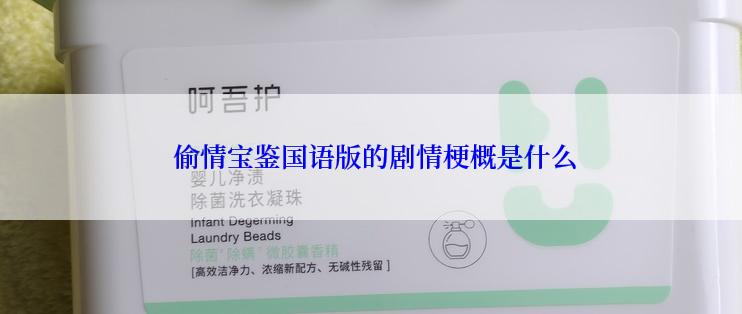  偷情宝鉴国语版的剧情梗概是什么