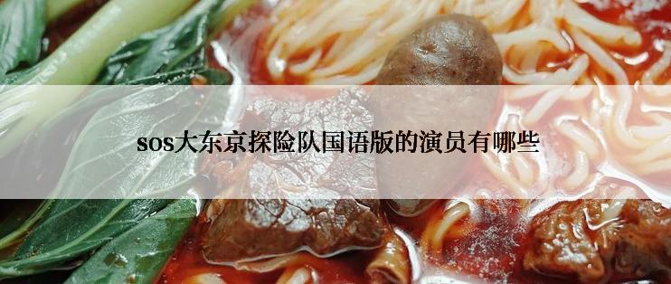  sos大东京探险队国语版的演员有哪些