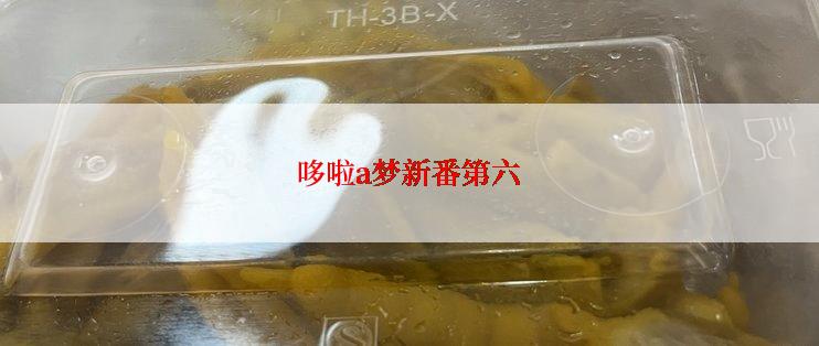哆啦a梦新番第六