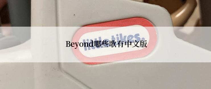  Beyond哪些歌有中文版