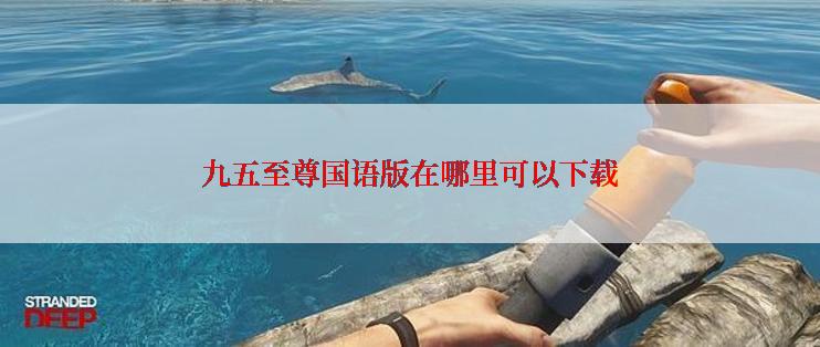 九五至尊国语版在哪里可以下载