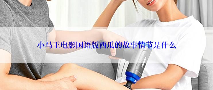 小马王电影国语版西瓜的故事情节是什么