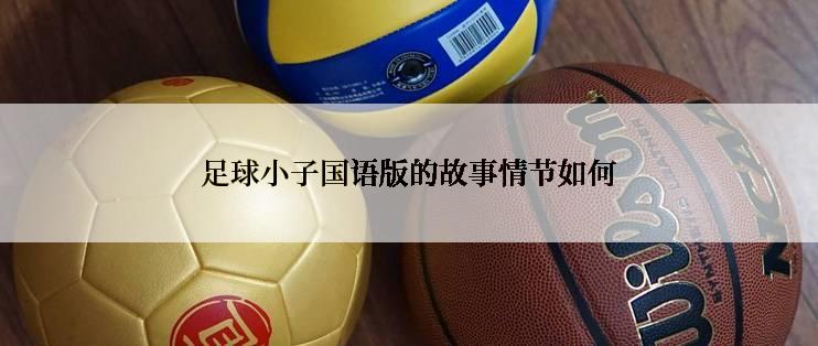足球小子国语版的故事情节如何