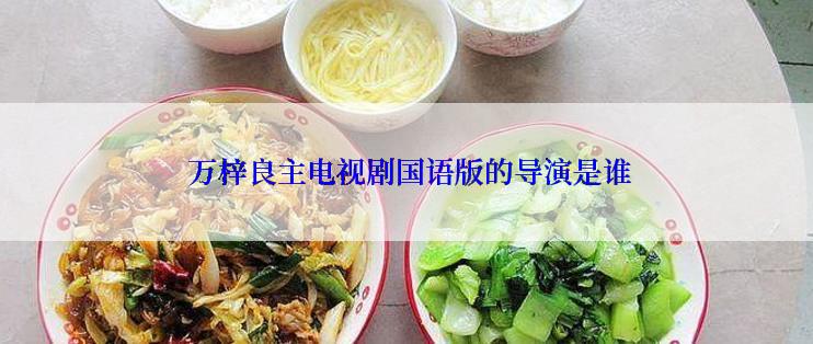 万梓良主电视剧国语版的导演是谁