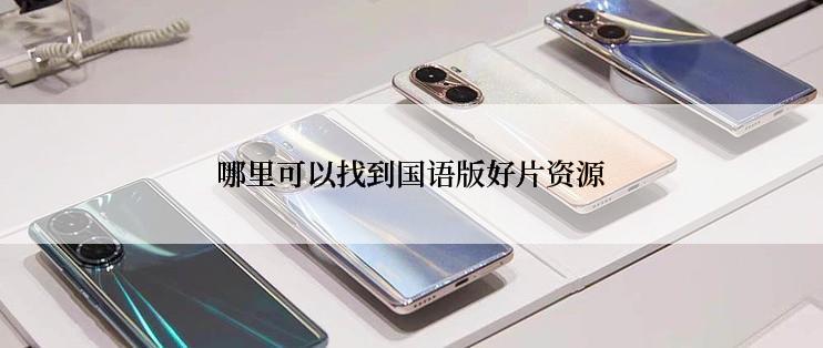 哪里可以找到国语版好片资源