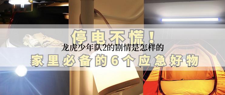 龙虎少年队2的剧情是怎样的