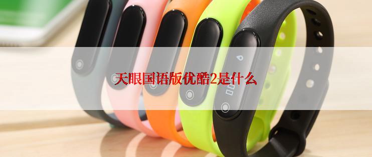 天眼国语版优酷2是什么