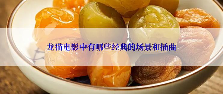 龙猫电影中有哪些经典的场景和插曲