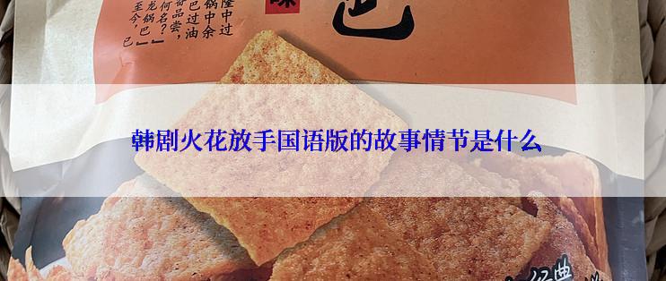  韩剧火花放手国语版的故事情节是什么
