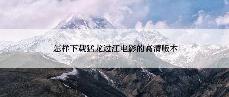  怎样下载猛龙过江电影的高清版本