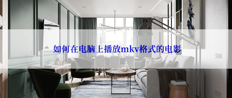  如何在电脑上播放mkv格式的电影