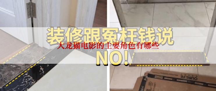 大龙猫电影的主要角色有哪些