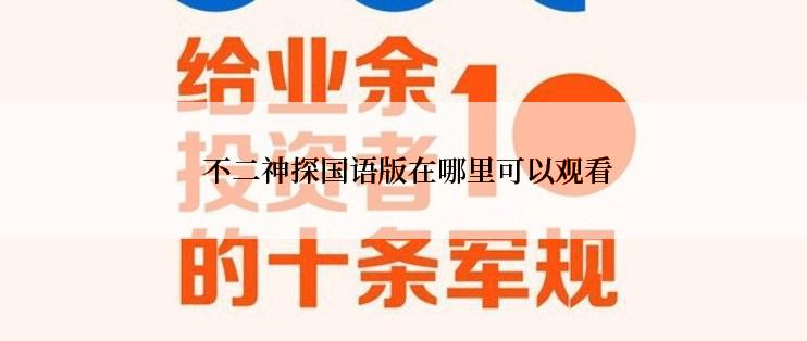  不二神探国语版在哪里可以观看