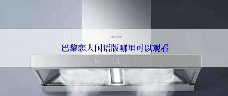  巴黎恋人国语版哪里可以观看