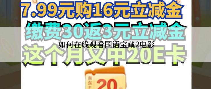  如何在线观看国语宝藏2电影