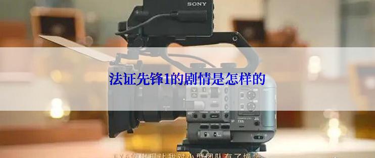法证先锋1的剧情是怎样的