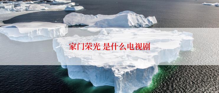 家门荣光 是什么电视剧