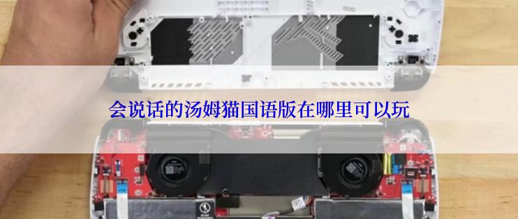 会说话的汤姆猫国语版在哪里可以玩