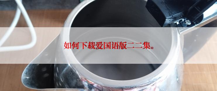 如何下载爱国语版二二集。