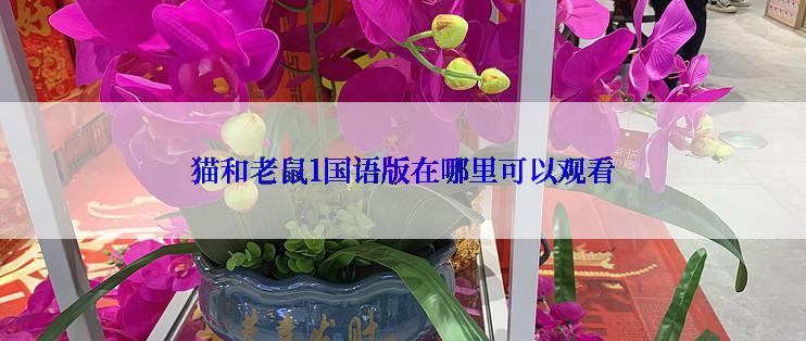 猫和老鼠1国语版在哪里可以观看