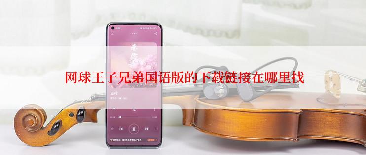  网球王子兄弟国语版的下载链接在哪里找